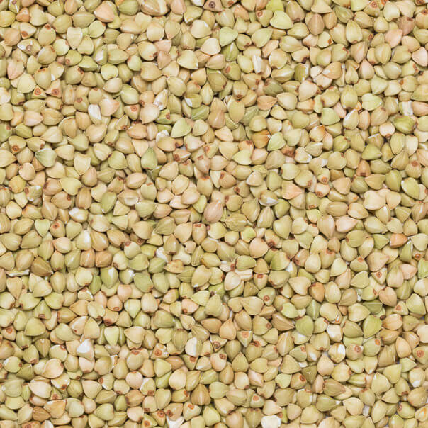 Close-up of organic buckwheat hulls.